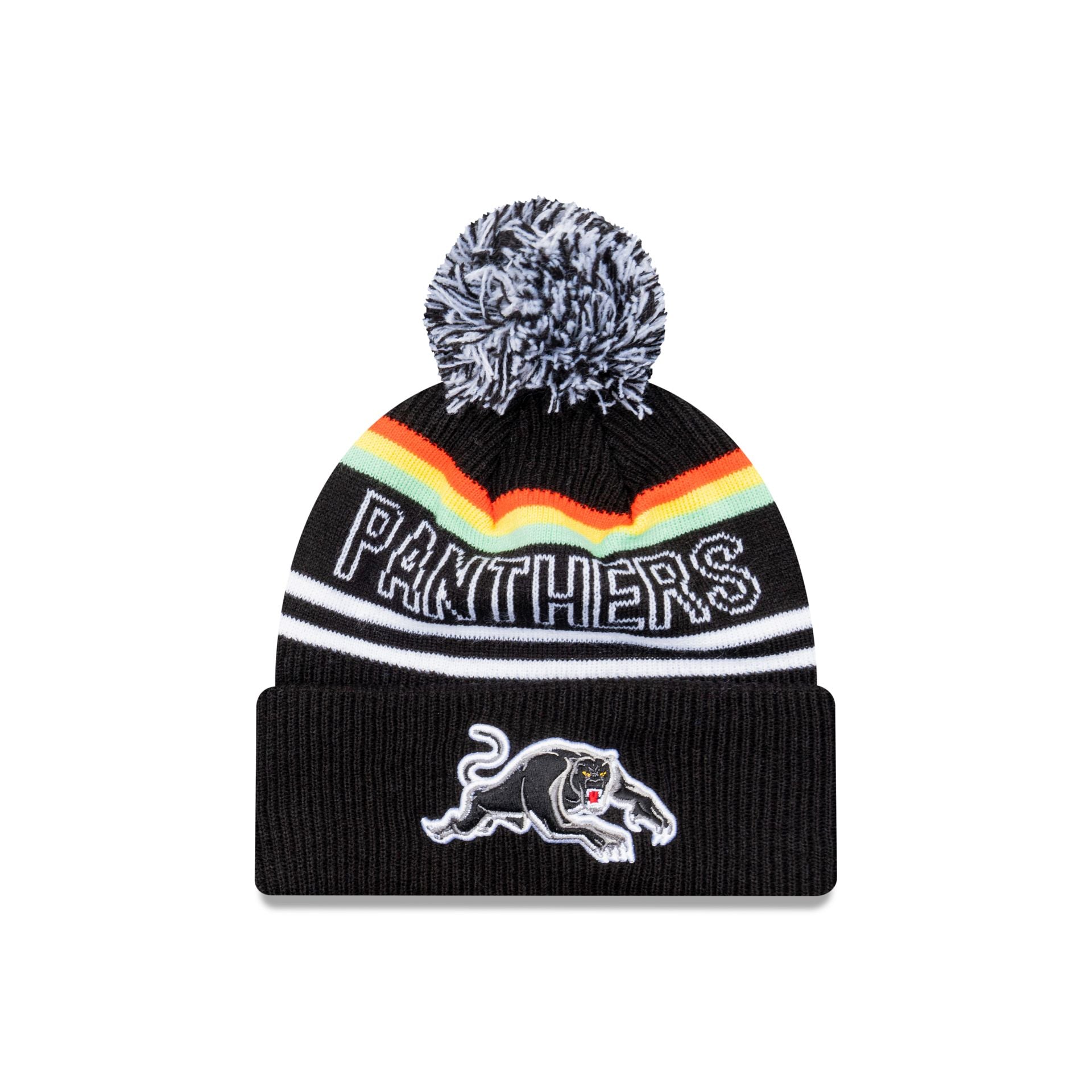 Panthers beanies store