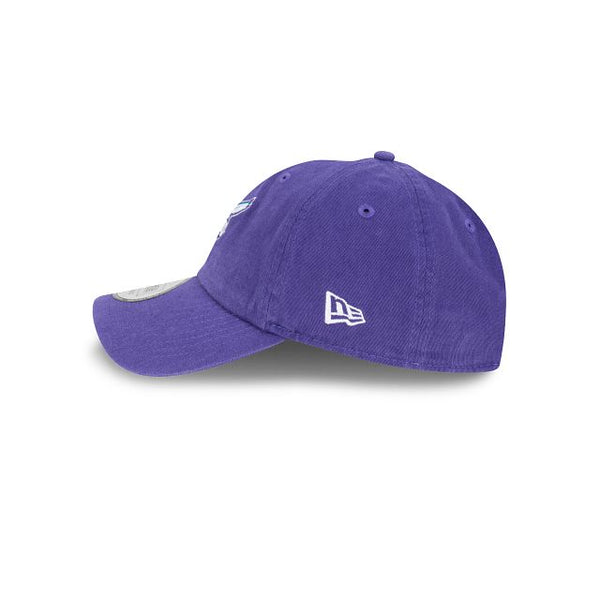 Charlotte Hornets Official Team Colours Casual Classic