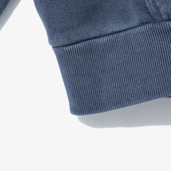 ap-orgn-washed-hoodie-jacket-ft53-d-blu