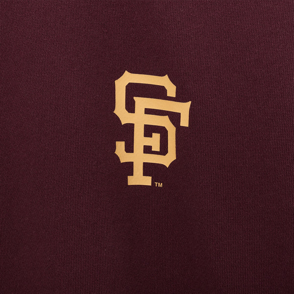 ap-mlb-all-star-game-rl53-safgia-bur