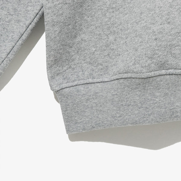 ap-essential-crew-neck-rl53-hgry