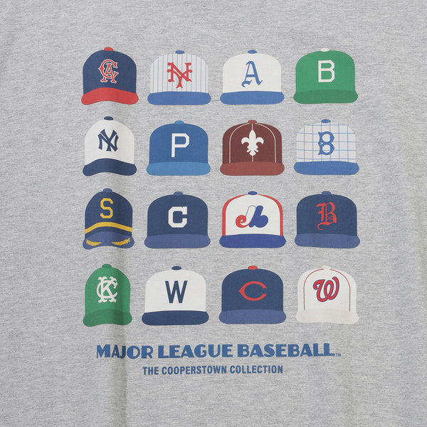 ap-mlb-cap-vntg-pstr-rs62-multi-hgry