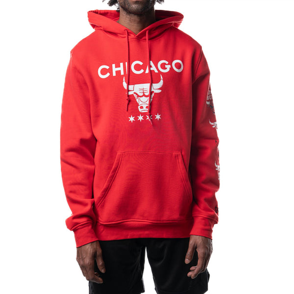 Chicago Bulls City Edition '23-24 Regular Fit Hoodie Clothing