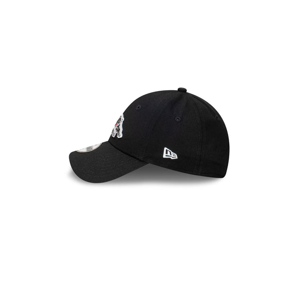 Penrith Panthers Supporter 2024 9FORTY Cloth Strap