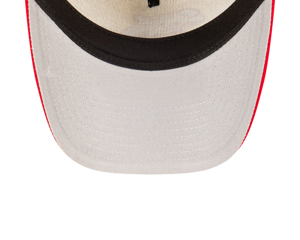 St George Illawarra Dragons Two-Tone Chrome White 9FORTY A-Frame Snapback