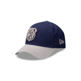 Canterbury-Bankstown Bulldogs NRL Supporter Two-Tone Pebble 9FORTY A-Frame® Snapback