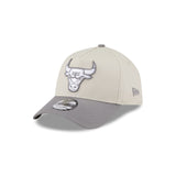 Chicago Bulls Storm Two-Tone 9FORTY A-Frame Snapback