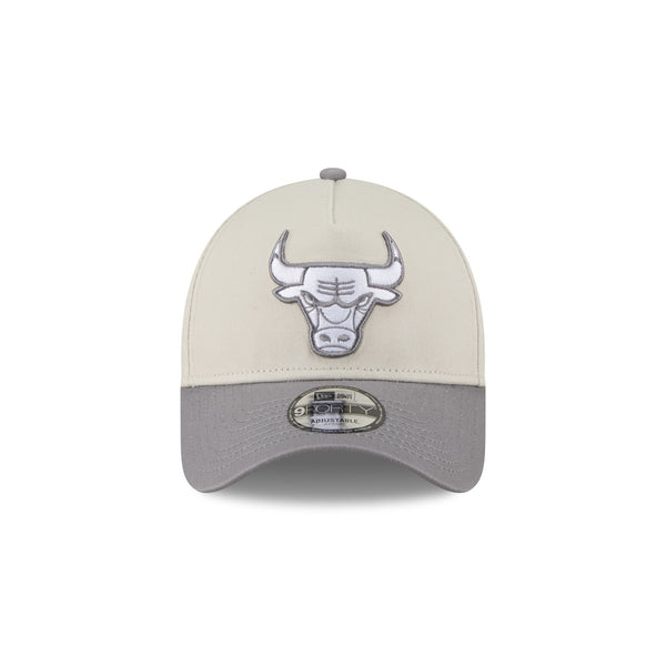 Chicago Bulls Storm Two-Tone 9FORTY A-Frame Snapback
