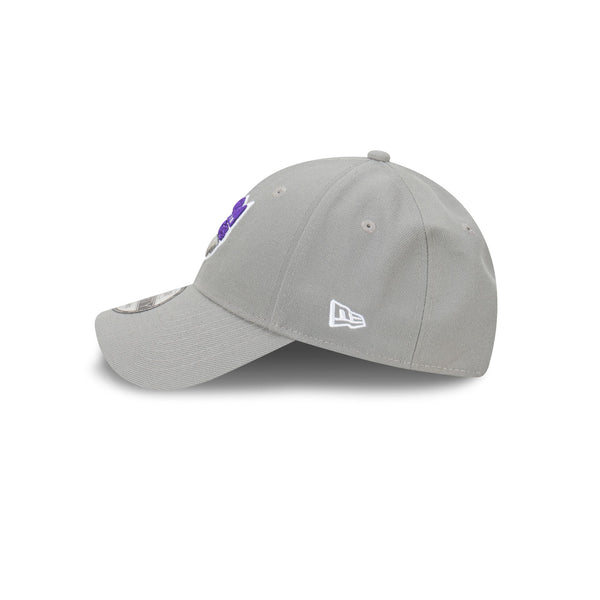 Sacramento Kings NBA Essentials 9FORTY Snapback