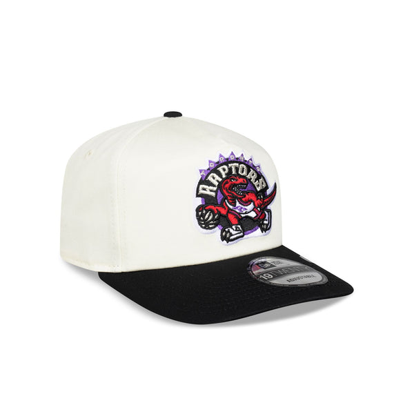 Toronto Raptors Hardwood Classics Two-Tone Chrome 19TWENTY Snapback - 3QR