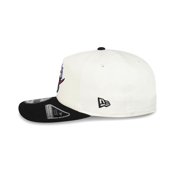 Toronto Raptors Hardwood Classics Two-Tone Chrome 19TWENTY Snapback - LSIDE