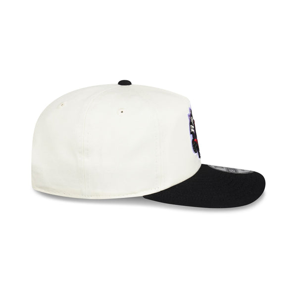Toronto Raptors Hardwood Classics Two-Tone Chrome 19TWENTY Snapback - RSIDE