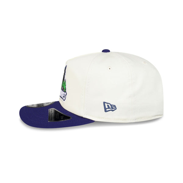 Minnesota Timberwolves Hardwood Classics Two-Tone Chrome 19TWENTY Snapback - LSIDE