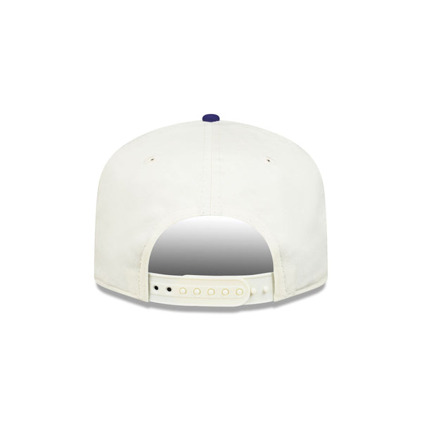 Minnesota Timberwolves Hardwood Classics Two-Tone Chrome 19TWENTY Snapback - R