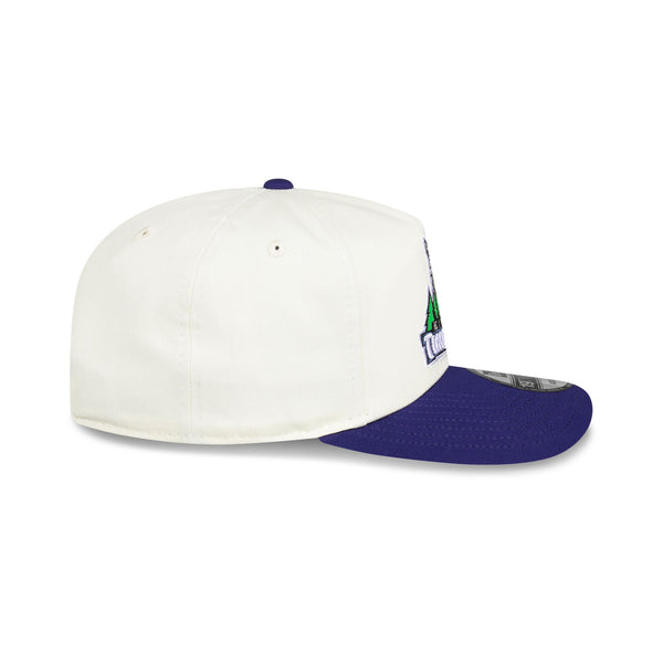 Minnesota Timberwolves Hardwood Classics Two-Tone Chrome 19TWENTY Snapback - RSIDE