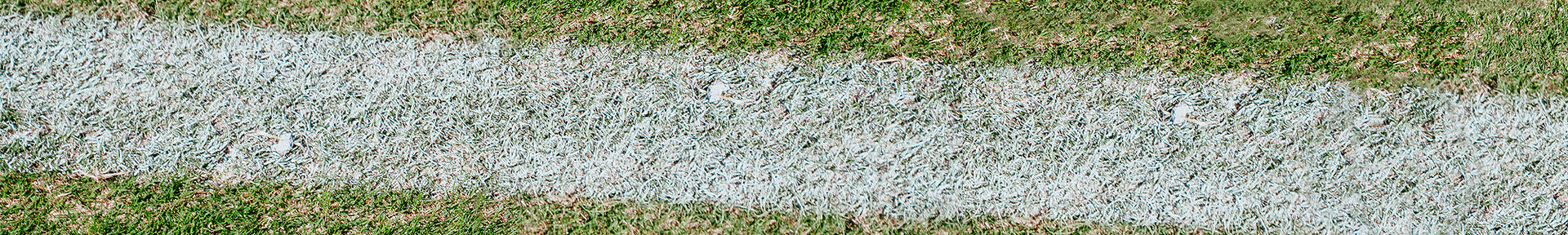 on field pitch afl nrl