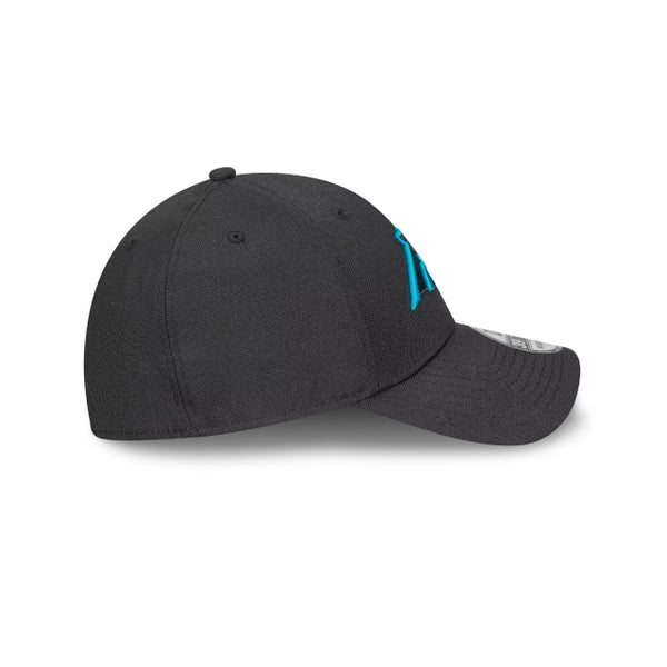 Carolina Panthers Team Colour 39THIRTY