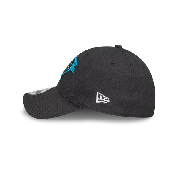 Carolina Panthers Team Colour 39THIRTY