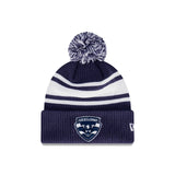 Geelong Cats Official Team Colours Stripe Beanie New Era